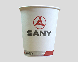 SANY